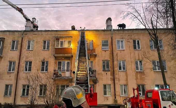 Власти назвали причину взрыва газа в жилом доме в Ярославле