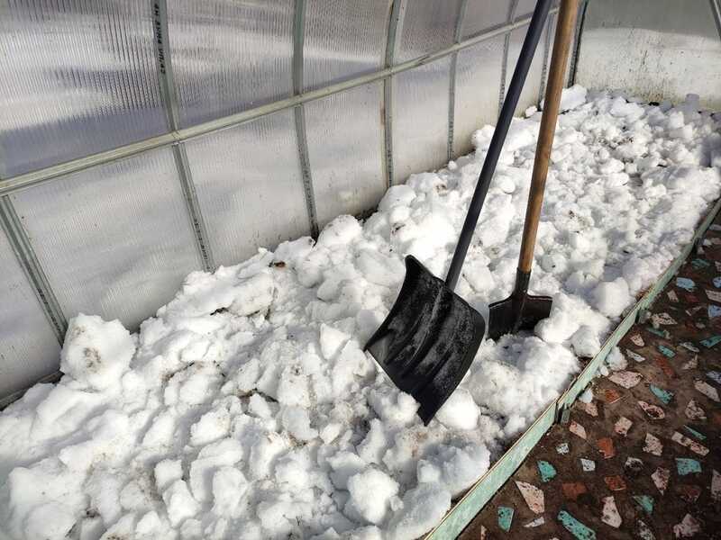 Полиция не заметила токсичный снег в Лангепасе: экологи настаивают на дополнительной проверке