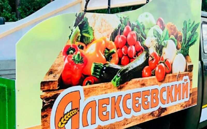 Как Овчинников погубил «Алексеевский»: государственное предприятие с миллиардным оборотом стало финансовой свалкой