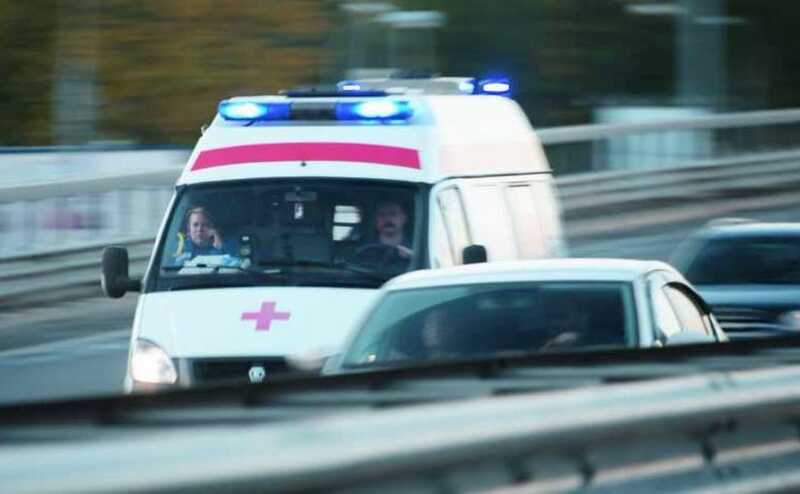 В Алтае ребёнка доставили в больницу после укуса змеи